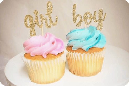 Gender Reveal Party